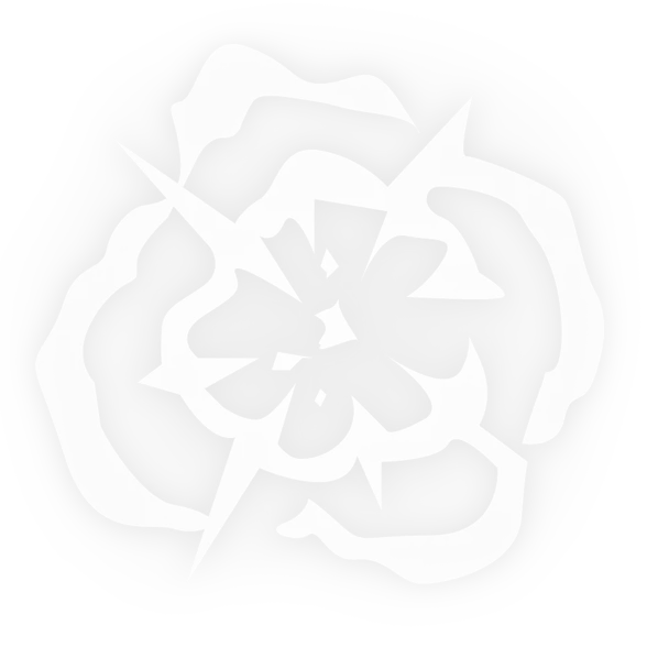 rayo circular